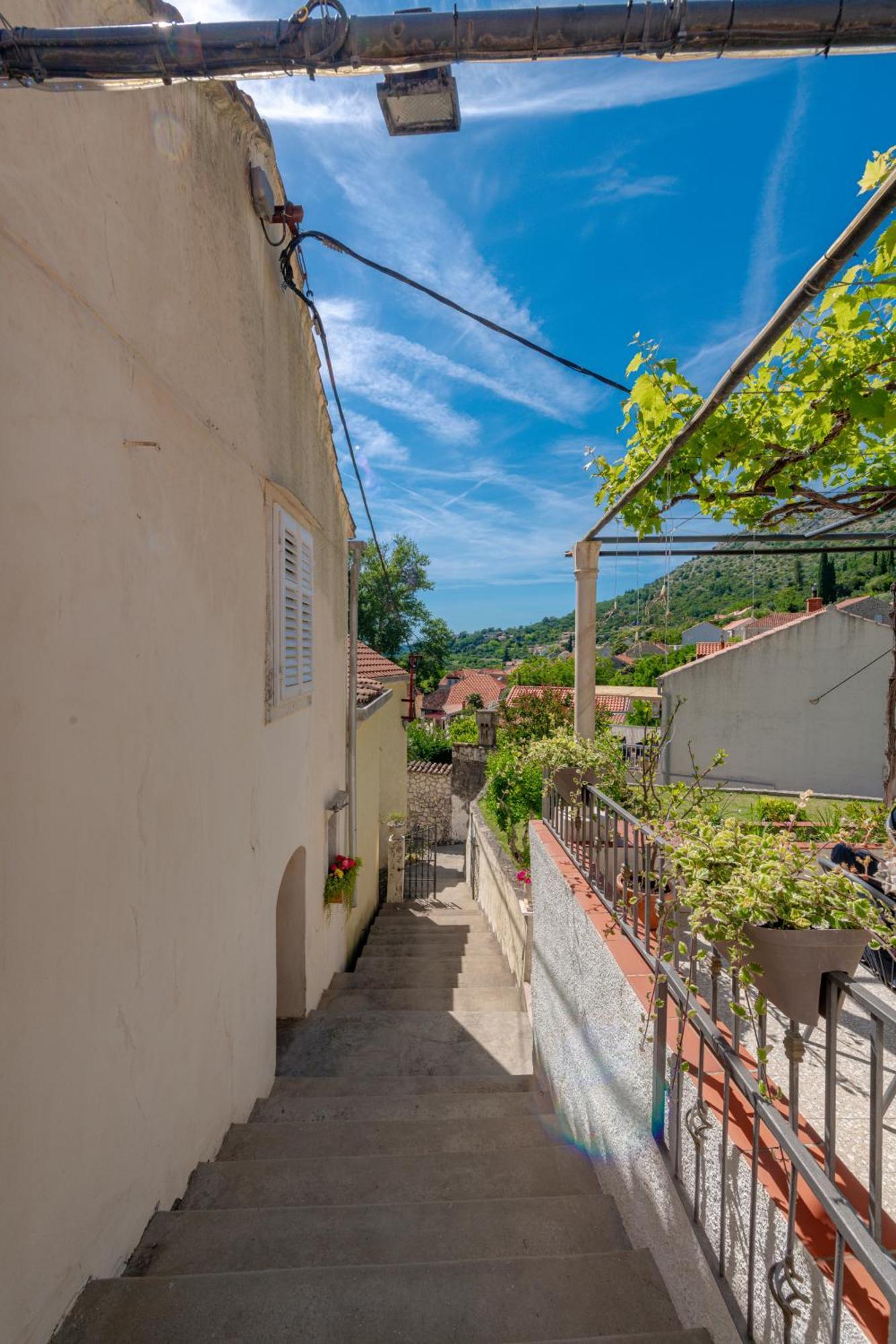 Radovcic Apartments And Rooms Trsteno Esterno foto